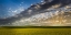 Picture of CANOLA HILLS AND SKY