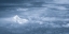 Picture of BIRDS EYE VIEW