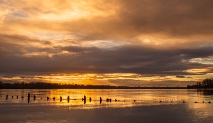 Picture of SUNRISE ALONG THE COLUMBIA