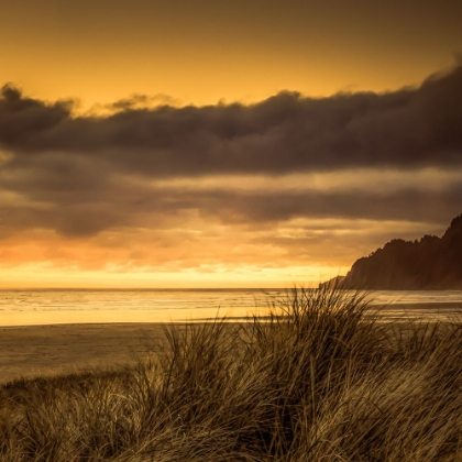 Picture of SUNDOWN THROUGH THE DUNE GRASSES