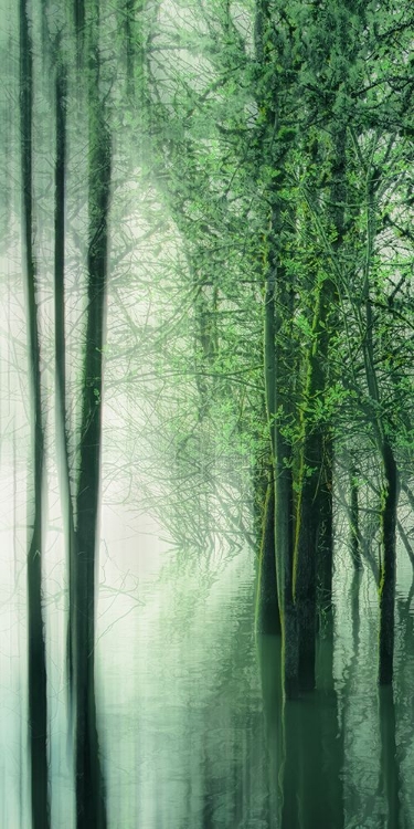 Picture of FOREST IN THE LAKE I