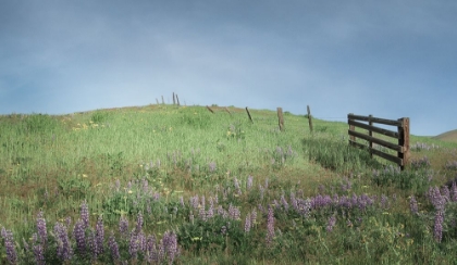 Picture of SPRING ALONG THE HILLSIDE