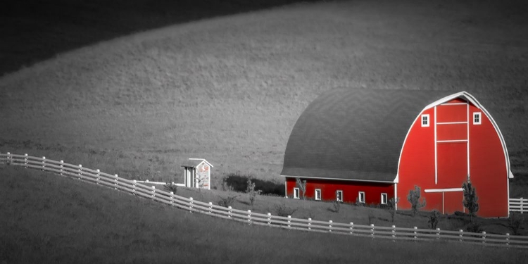 Picture of RED BARN ALONG THE FENCE