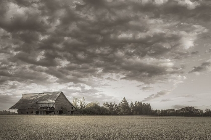 Picture of YAMHILL VALLEY BARN