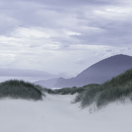 Picture of MOUNTAINS BEYOND THE DUNES