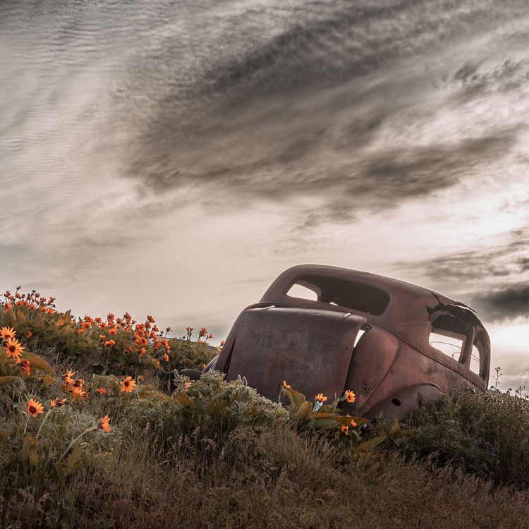 Picture of RUSTED IN THE SPRING MEADOW