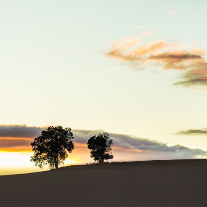 Picture of SUNSET OVER ROLLING HILLS III