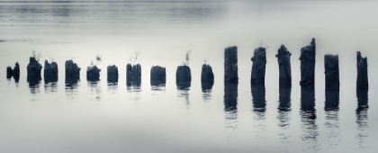 Picture of RIVER PILINGS AT DAYBREAK