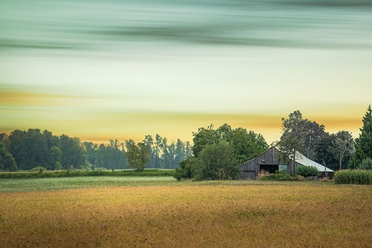 Picture of ON THE CUSP OF AUTUMN