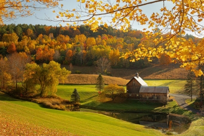 Picture of PASTORAL FARMSTEAD