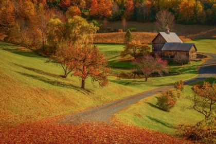 Picture of WINDING PAST THE BARNS