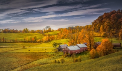 Picture of AUTUMN AT THE FARM
