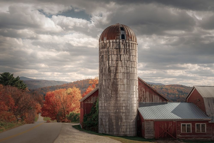 Picture of DOWN A COUNTRY ROAD IN AUTUMN