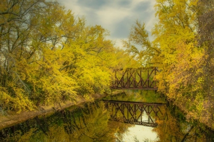 Picture of TRANQUIL CREEK IN AUTUMN