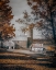 Picture of ORGANIC DAIRY FARM