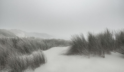 Picture of WINDING THROUGH THE DUNES