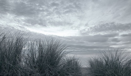 Picture of THE DUNES AT MANZANITA