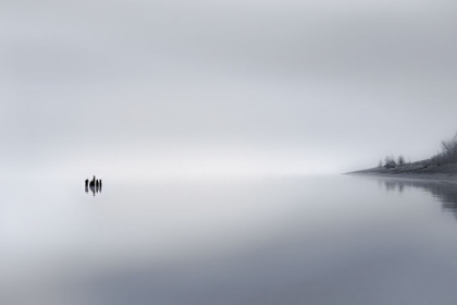 Picture of IN THE FOG