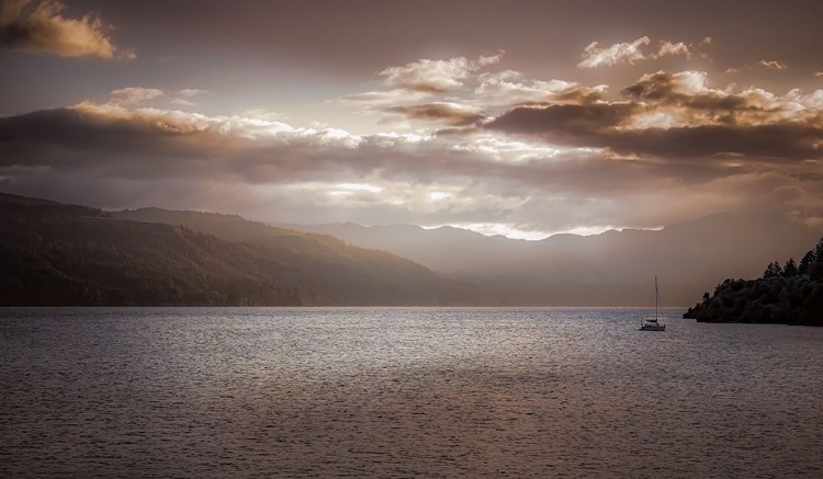 Picture of SAILBOAT ON THE COLUMBIA