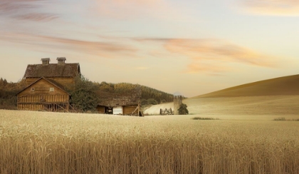 Picture of ABANDONED IN THE FIELD OF WHEAT I