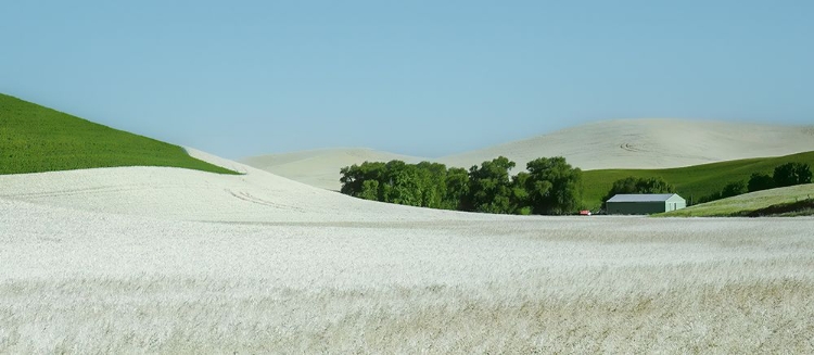 Picture of SWEEPING FARMLAND