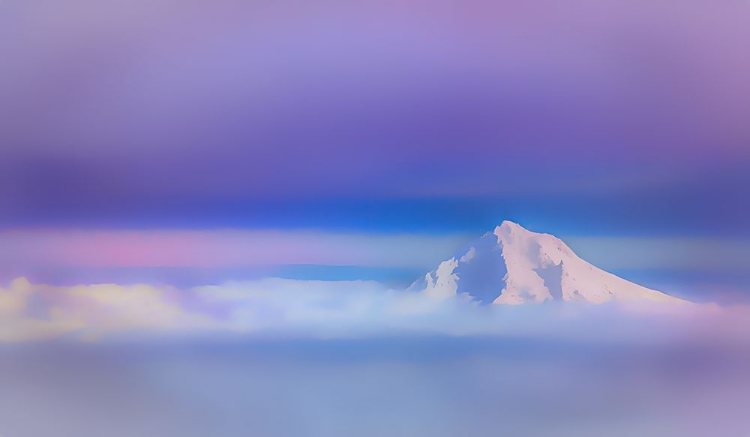 Picture of IN THE CLOUDS