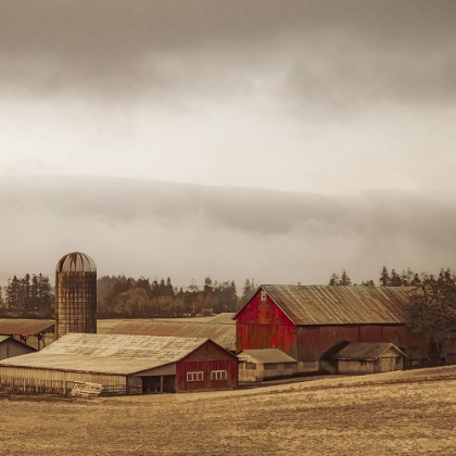 Picture of RUSTIC COUNTRYSIDE