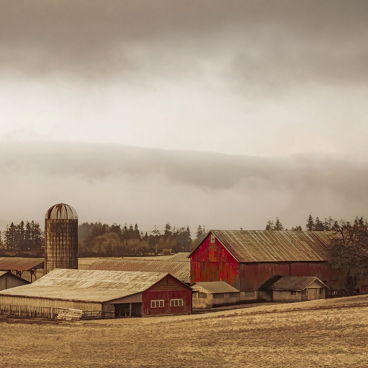 Picture of RUSTIC COUNTRYSIDE