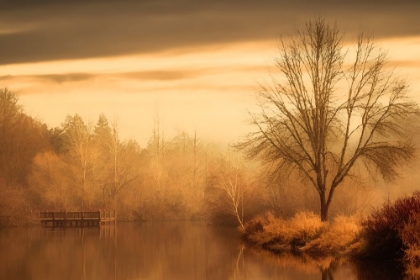 Picture of SERENITY ALONG THE LAKE