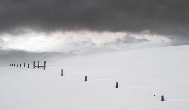 Picture of FENCE ACROSS THE SNOWFIELD