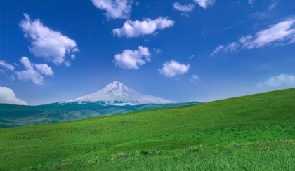 Picture of MT. HOOD BEYOND THE MEADOW