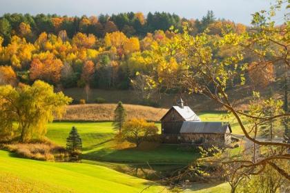 Picture of BUCOLIC AUTUMN AT THE FARM
