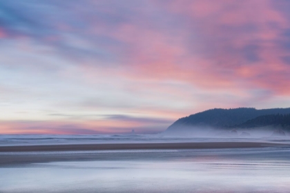 Picture of LOW TIDE