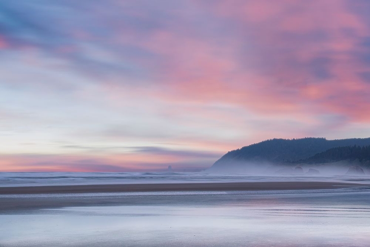 Picture of LOW TIDE