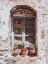 Picture of WEATHERED WINDOW, NAXOS