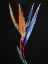 Picture of FLORAL II