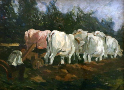 Picture of YOKED OXEN 1908