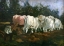 Picture of YOKED OXEN 1908