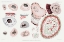 Picture of ILLUSTRATION OF MARINE LIFES CELLS