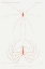 Picture of SEA SPIDER ILLUSTRATION
