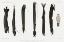 Picture of STOMIIDAE DEEP SEA FISH VARIETIES SET ILLUSTRATION I