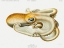 Picture of VELODONA OCTOPUS ILLUSTRATION II