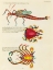 Picture of ILLUSTRATIONS OF FISHES AND CRABS FOUND IN MOLUCCAS INDONESIA AND THE EAST INDIES