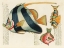 Picture of ILLUSTRATIONS OF FISHES FOUND IN MOLUCCAS INDONESIA AND THE EAST INDIES 2