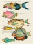 Picture of ILLUSTRATIONS OF FISHES FOUND IN MOLUCCAS INDONESIA AND THE EAST INDIES 6