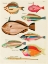 Picture of ILLUSTRATIONS OF FISHES FOUND IN MOLUCCAS INDONESIA AND THE EAST INDIES 11