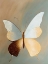 Picture of GLASS BUTTERFLY