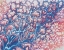 Picture of CORAL SEA