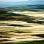 Picture of ACROSS THE MOORS