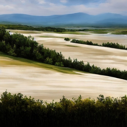 Picture of BEGINNING OF THE DUNES